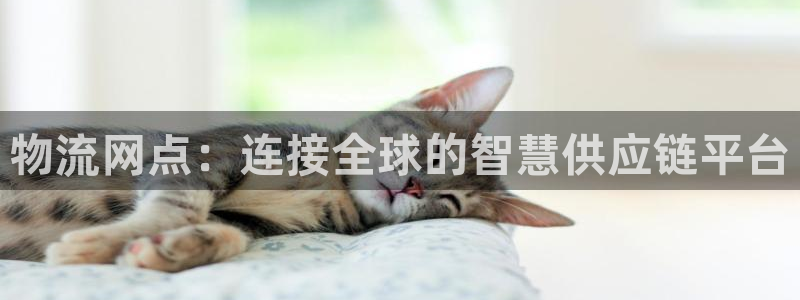 旺财28注册二维码：物流网点：连接全