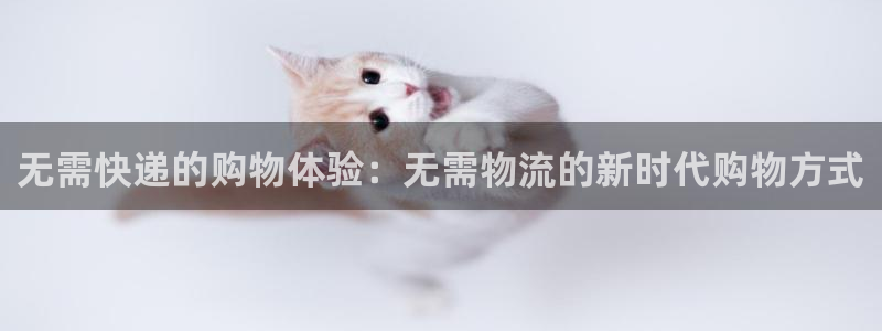旺财28ccm游戏：无需快递的购物体