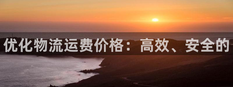 旺财28自行车图片：优化物流运费价格