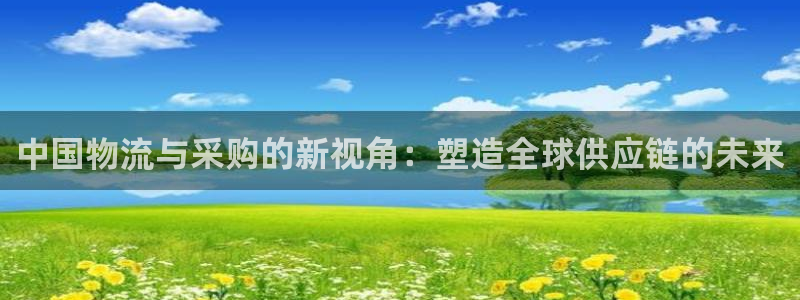 旺财28玩法：中国物流与采购的新视角