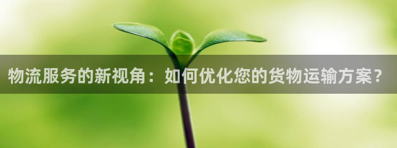 旺财28注册教程：物流服务的新视角：