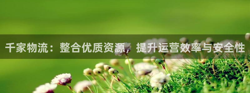 旺财28新用户怎么注册：千家物流：整