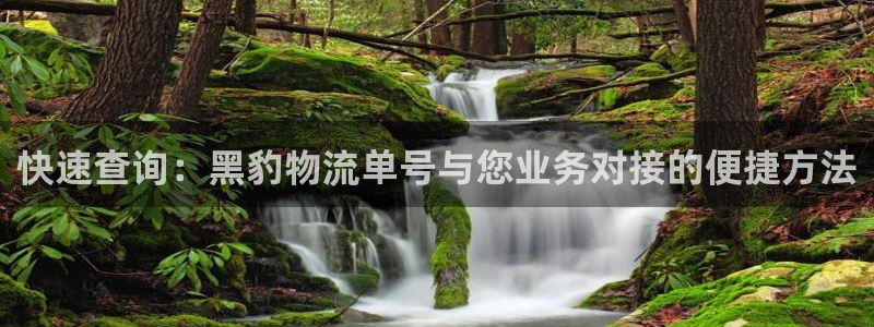 旺财28加拿大怎么玩