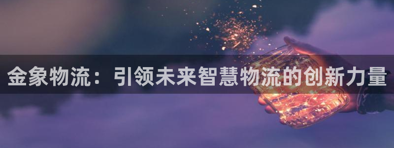 旺财28是啥：金象物流：引领未来智慧