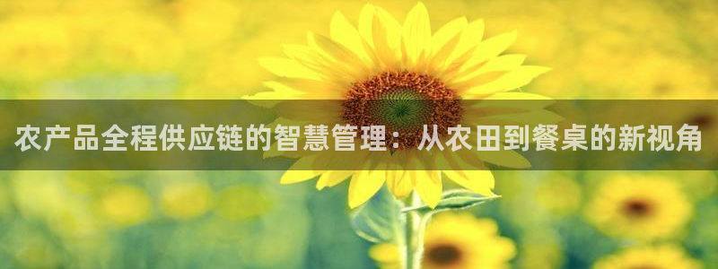 旺财28返水怎么算的：农产品全程供应