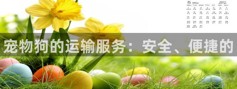旺财28能提现吗：宠物狗的运输服务：