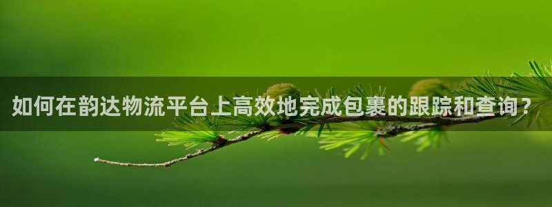 旺财28游戏官网入口：如何在韵达物流