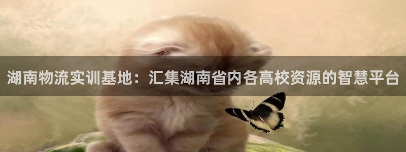 旺财28注册二维码：湖南物流实训基地