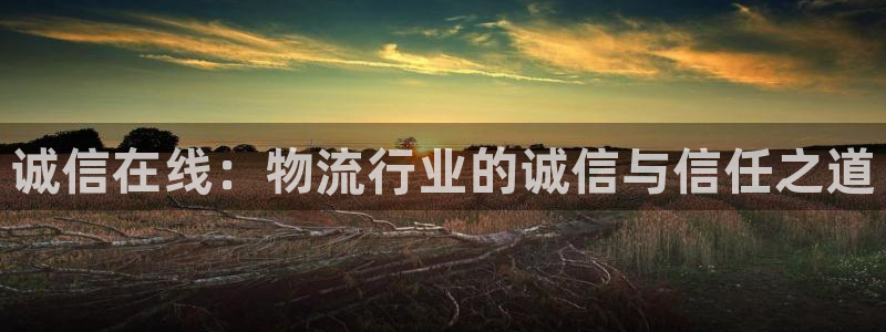 旺财28人头费：诚信在线：物流行业的