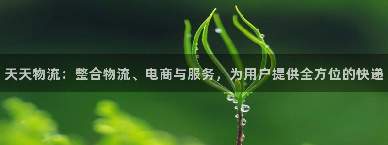 旺财28南宫娱乐官网：天天物流：整合