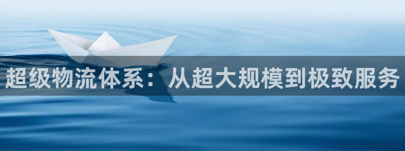 旺财28犯法吗：超级物流体系：从超大规模到极致服务