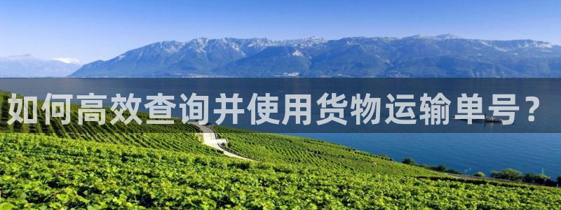 旺财28游戏：如何高效查询并使用货物