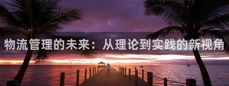 旺财28犯法吗：物流管理的未来：从理