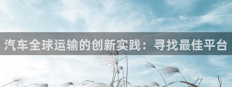 旺财28官网下载链接是什么：汽车全球