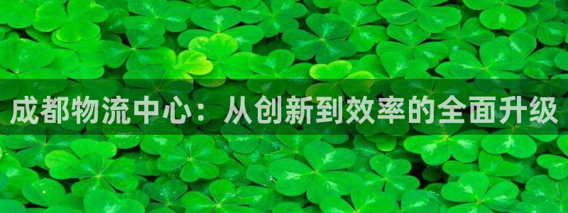 旺财28激活码：成都物流中心：从创新