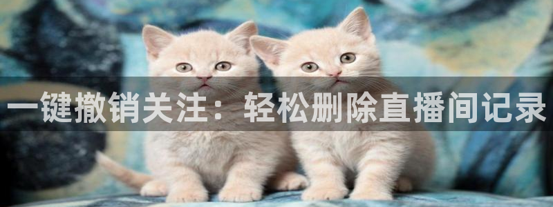 乐球直播乐球tv