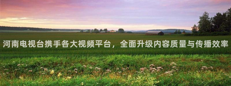 乐球tv直播免费直播