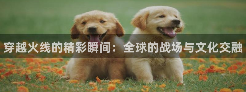 乐球app直播