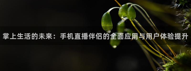 乐球直播nba无插件高清看球：掌上生活的未来：手机直播伴侣的全面应用与用户体验提升