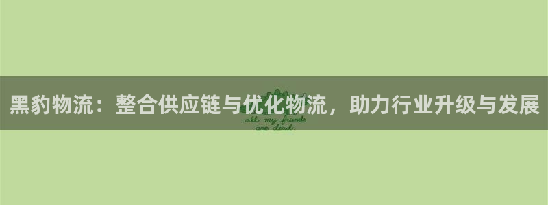 旺财28官网入口官网：黑豹物流：整合