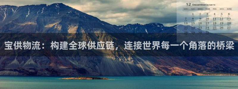 旺财28官方版正版：宝供物流：构建全