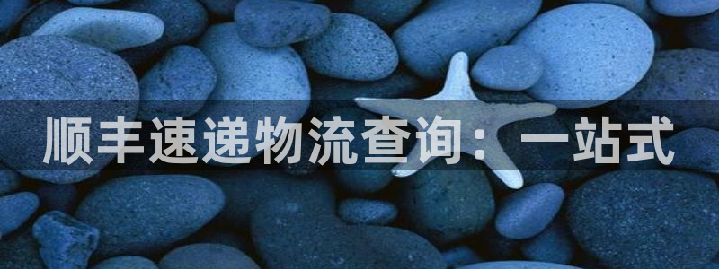 旺财28官网下载加拿大：顺丰速递物流